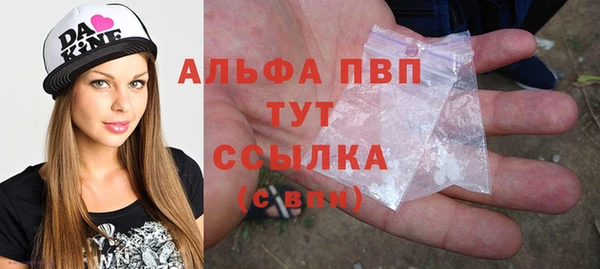 ешки Белокуриха