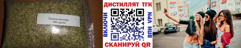 мега ТОР  Короча  ТГК THC oil  даркнет сайт 