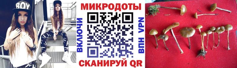 Псилоцибиновые грибы мухоморы  где найти наркотики  Короча 