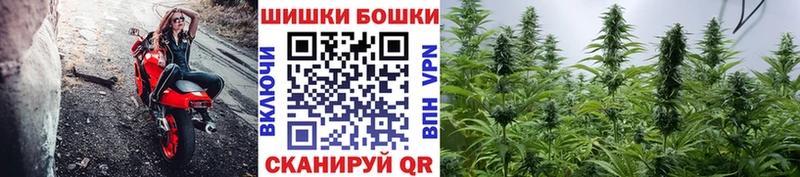 Канабис OG Kush Короча